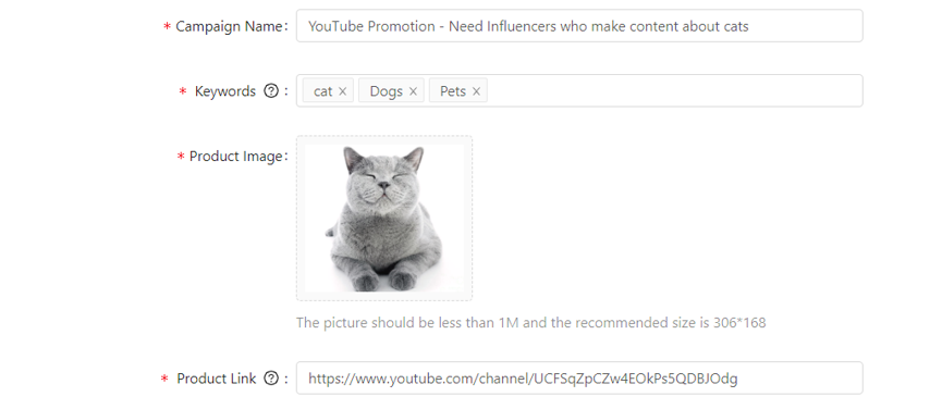 6. Upload image on Noxinfluencer influencer marketing platform