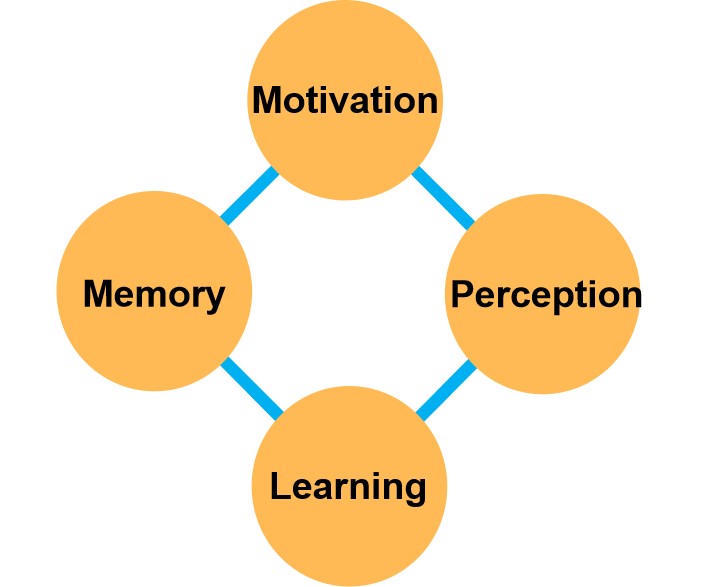 psychological factors of consumer behaviors in influencer marketing campaign——Noxinfluencer