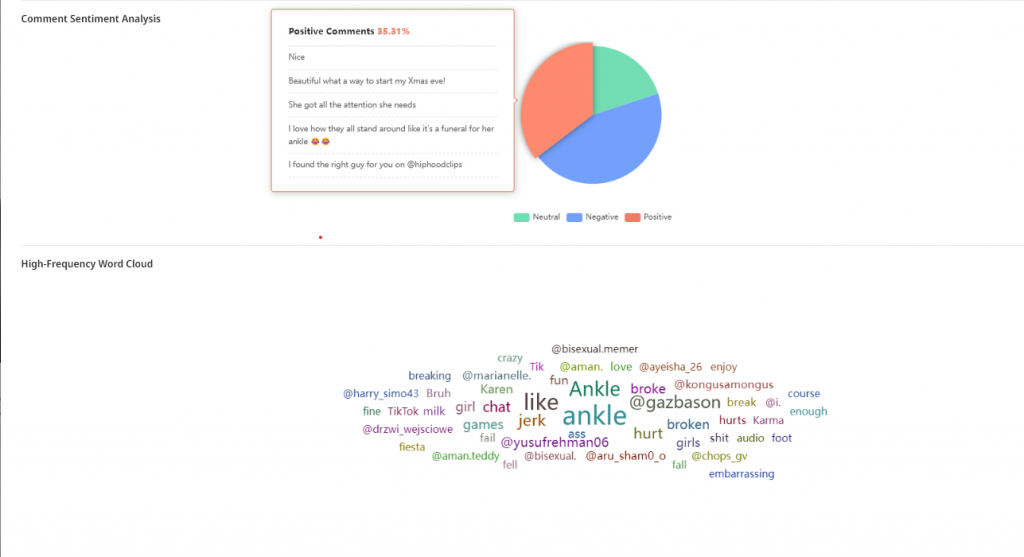 NoxInfluencer marketing campaign monitor report